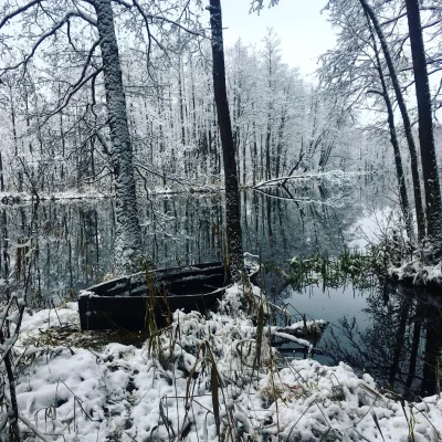 yapkowy - #earthporn #fotografia #polska #podlasie #augustow 

rzeka Rospuda w Doli...