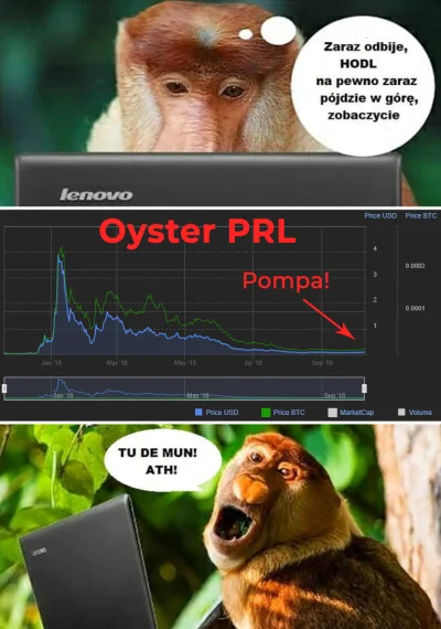 cyberpunkbtc - > PRL w miesiac podbil 125%
@Obruni: Zrobiłem mema z tej okazji. Wykr...