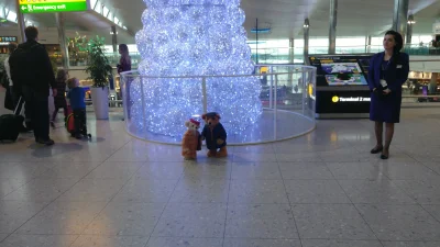 pampuszek - Te misiaczki na prawde istnieja :)

#londyn #heathrow #airport #swieta