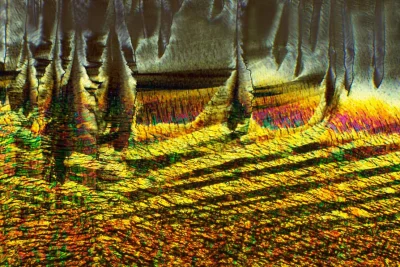 kurkuma - #fotografia #mikrofotografia #chemia

Wygląda jak obraz lasu namalowany f...