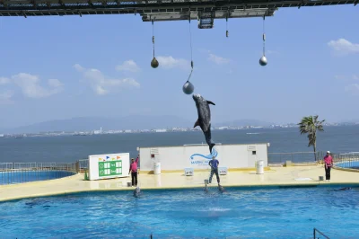 Hake - Marine World, Japonia

#japonia #fotografia