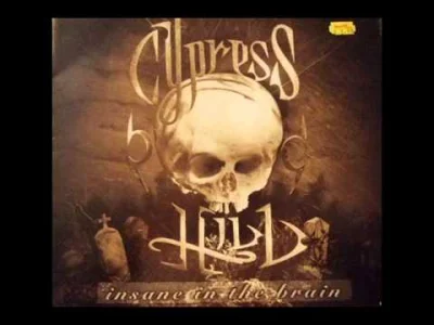 cheeseandonion - #muzyka #rap #oldschool #cypreshill 

Cypress Hill - Insane In The B...