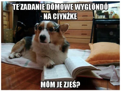 mirekkomputronikel - #heheszki #humorobrazkowy #smiesznypiesek