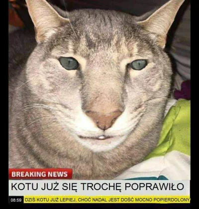 R.....L - On jest P O P I E R D O L O N Y... chociaż dzisiaj już mniej (⌐ ͡■ ͜ʖ ͡■) 
...