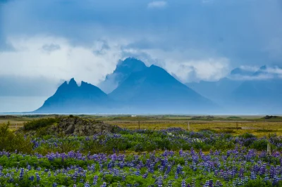 optimus_dime - Islandzka góra Brunnhorn zwana tęż "górą batmana" ze względu na swoje ...