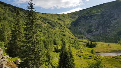 taniearbuzy - nogi mi do dupy wchodzą po wczorajszym, ale zdjęcia spoko