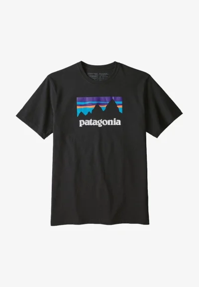 ckfik - Miraski! Czy ktoś wie gdzie można kupić koszulkę ala Patagonia która została ...