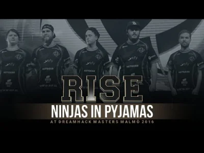 NiPGaming - RISE - NiP at DreamHack Masters Malmö 2016

#csgo