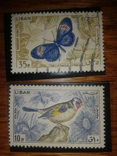 M.....k - Liban
znaczki z 1965 roku 

#znaczki #filatelistyka #liban #ptaki #motyl