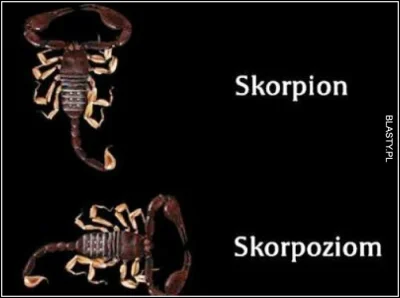 m.....a - mi to się skorpion raczej kojarzy z jego ogonem a nie szponami
