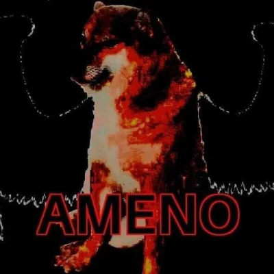 pjcezaq - @n0cniarz: AMENO