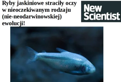 bioslawek - Zdolność widzenia u ryb jaskiniowych wyłączona przez zmiany epigenetyczne...