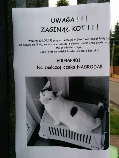 pitrah606 - Ktoś tutaj podróżuje w czasie. O.o #smieszek #lolcat #coteludzie #jaszczu...