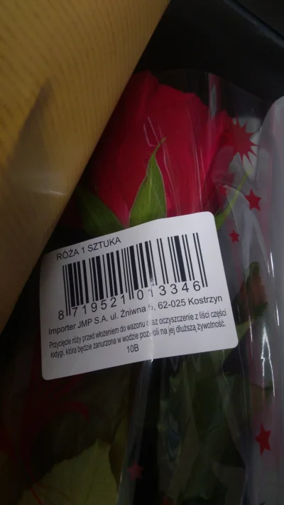marek-staszewski-357 - Miliony kwiatów w Biedronce z Holandii !!!

Do jasnej cholery....