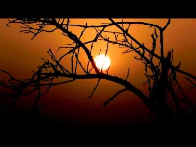 Barnabeu - Tangerine Dream - Valley Of The Sun
#tangerinedream #muzykaelektroniczna ...