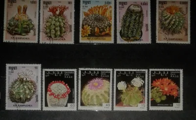 S.....r - Kaktusy

#filatelistyka #znaczki #kaktus #rosliny #sukulenty #przyroda #nat...
