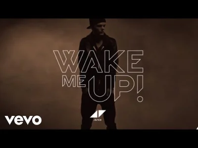 ProAero - Pamiętam jak gdzieś w zakamarkach YouTuba znalazłem piosenkę Wake Me Up, za...