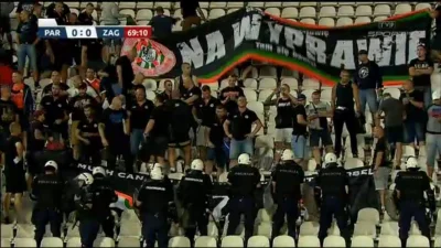 ms05 - Partizan - Zagłębie

#mecz #mirkohooligans