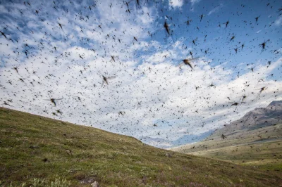 likk - a więc tak wygląda Alaska w pełni lata...



#alaska #obrazek