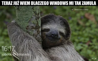 bordozielonka - #windows #heheszki #humorobrazkowy #leniwiec