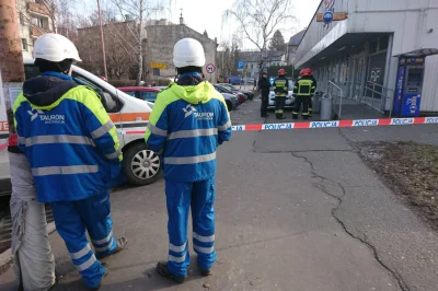 grishko - 31 stycznia 2019, Bielsko-Biała, ul. Kierowa, godz. 10.30 - Wszystkie służb...