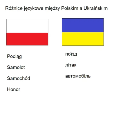 brusilow12 - Po raz kolejny ukry udowadniają, że brakuje im pewnej rzeczy...