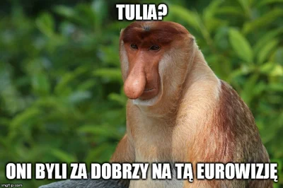 Nirin - #memy #nosaczsundajski #eurowizja #muzyka