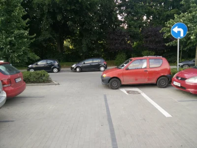 ncpnc - Tak sie parkuje, Gdynia Orlowo, inwalida umyslowy "zaparkowal". GA8391A. #wie...