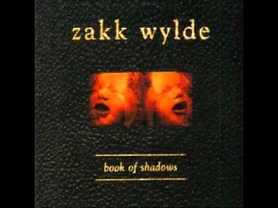 H.....s - #muzycywiary

Zakk Wylde - The things you do

#myzyka #zakkwylde #ladny...