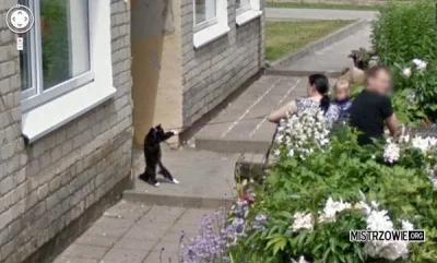 szaqal - #googlestreetview #nope