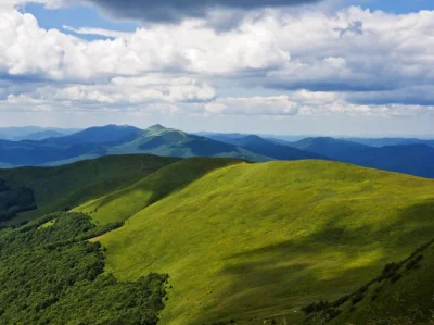 TypowyPolskiFaszysta - A może by tak wszystko #!$%@?ąć i wyjechać w Bieszczady?
Niec...