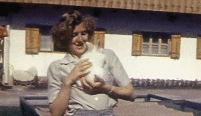 nancyspungen - #nazi #cute #hitler #ewabraun #rabbit