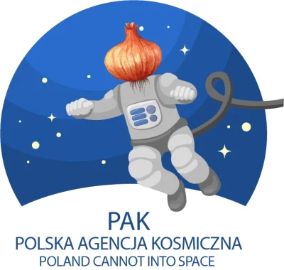 project - Polska Agencja Kosmiczna organizuje konkurs na logo. Do wygrania 10 000 zł....