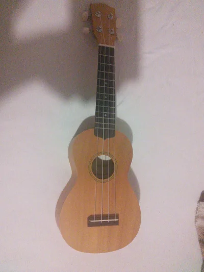 G.....f - Jakiś czas temu kupiłem sobie ukulele. Jakiś tani chińczyk, ale pograć możn...