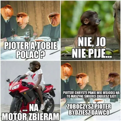 kograman - #nosaczsundajski #heheszki #humorobrazkowy #takaprawda