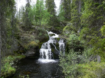 johanlaidoner - Fińska przyroda. Wodospad Kullaoja.

#finlandia #przyroda #ciekawos...