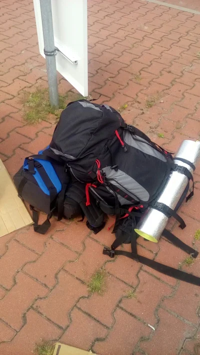 Czauczesko - Aktualnie pod Poznaniem na Shellu
#autostop #poznan #podrozujzwykopem