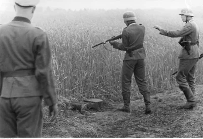 myrmekochoria - Zabicie cywila przez żołnierzy Waffen SS na froncie wschodnim. Widocz...
