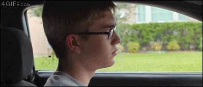 mireczeks - #gif #troll