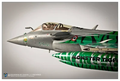 CanisLupusLupus - foto: https://www.facebook.com/EC1.7Provence #aircraftboners #rafal...