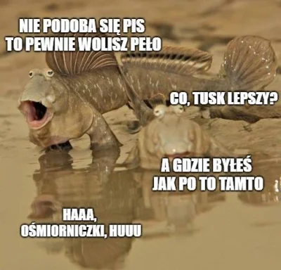 menelaosPL - > to jak pis sa zdrajcy to PO czym jest >?

@Fugi88888: też zdrajcami