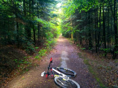 PiterCK - Świętokrzyski Park Narodowy, trasa biegnąca nasypem starej kolejki wąskotor...