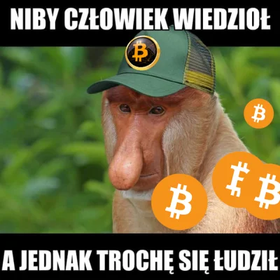 sstanislavvv - #bitcoin #kryptowaluty
