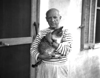 glupi-kot - @glupi-kot: Żyjąc z wieloma kotami przez całe życie Picasso przedstawił j...