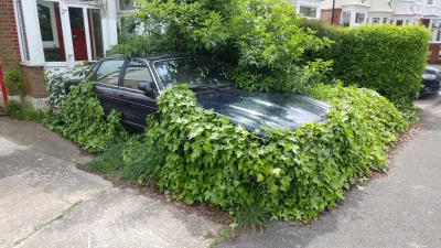 tomasz123inny - Samochód czy juz roślina? 
#samochody #rosliny #heheszki