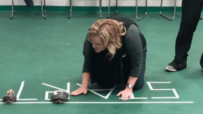 Matyson - Rywalizacja w Williamsie pomiędzy Kubicą i Russelem - 2019, niekoloryzowane...