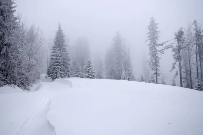 mala_kropka - Pierwszy śnieg w zimę 2018/2019
Wczoraj też padał, ale dopiero dzisiaj...