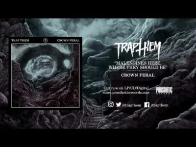 A.....n - TRAP THEM - "Crown Feral"

NOWE TRAP THEM BOZE O JEZUSE JAKIE TO JEST DOB...