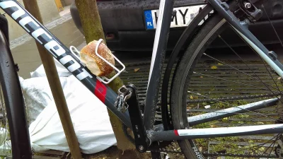 Kendzior44 - Pasuje jak ulał.

#drozdzowkarze #messlife #rower