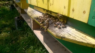 m__m - Dzień, wspomnienie lata. Piękny gorący sierpień roku Pańskiego 2016. Moje Pani...